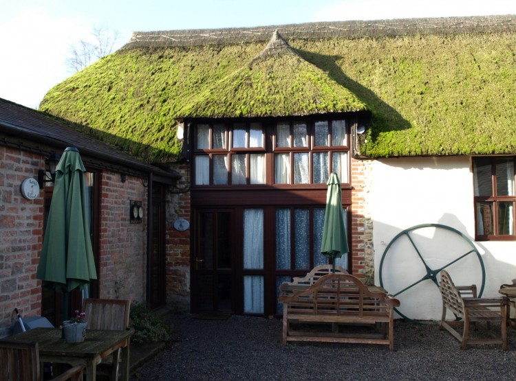 Squirrels Drey At Berehayes 