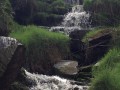 Bronte Waterfalls